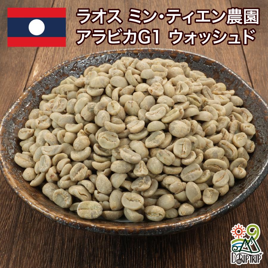 コーヒー豆 ラオス ミン・ティエン農園 アラビカG1 ウォッシュド #480