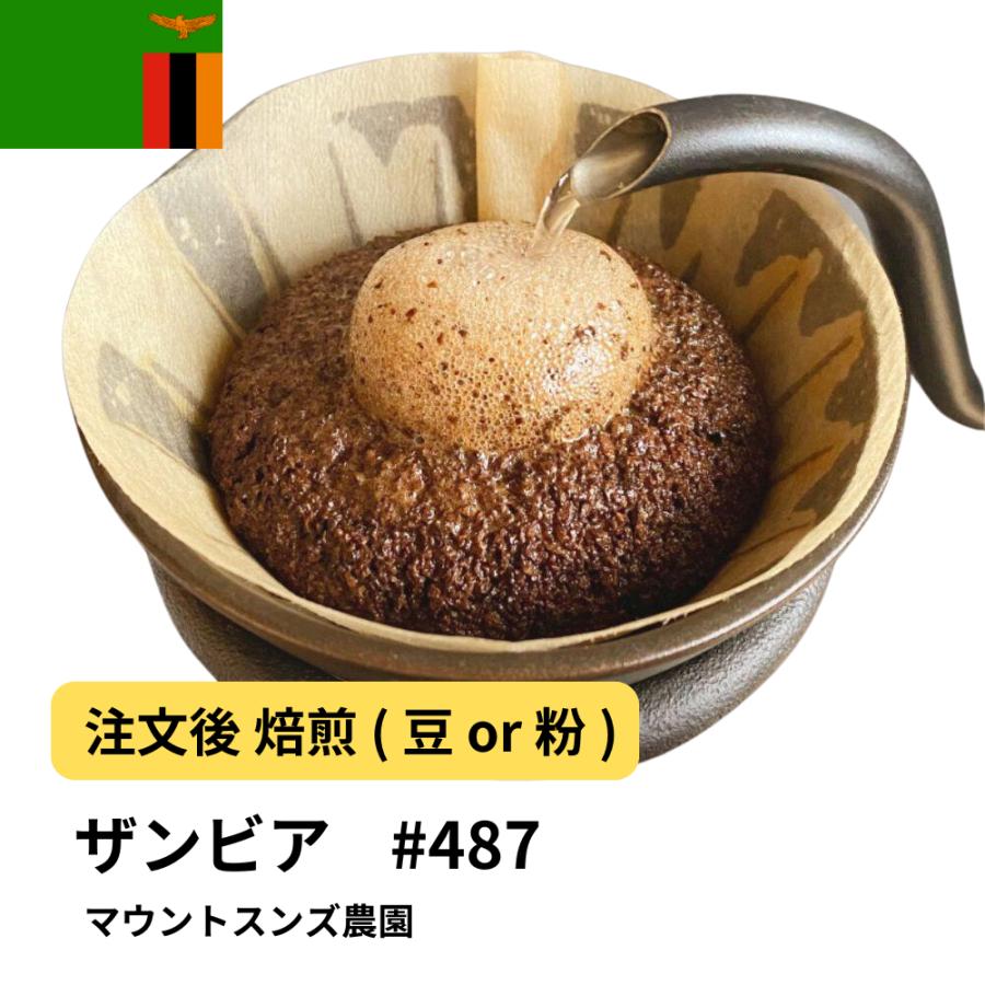 コーヒー豆 ザンビア マウントスンズ農園 #487 DripTrip 珈琲 : 300種