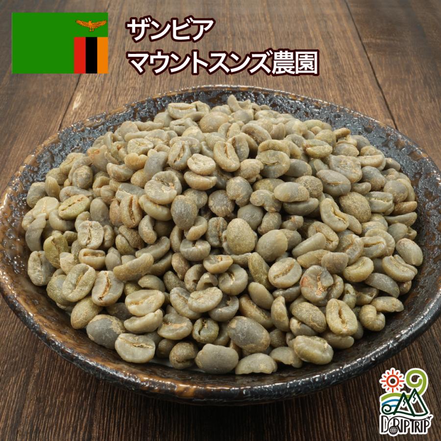コーヒー豆 ザンビア マウントスンズ農園 #487 DripTrip 珈琲 : 300種
