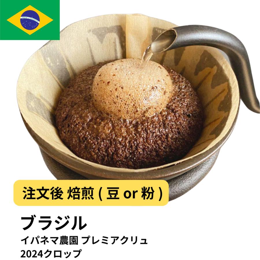 コーヒー 生豆 コーヒー豆 ブラジル イパネマ農園 プレミアクリュ