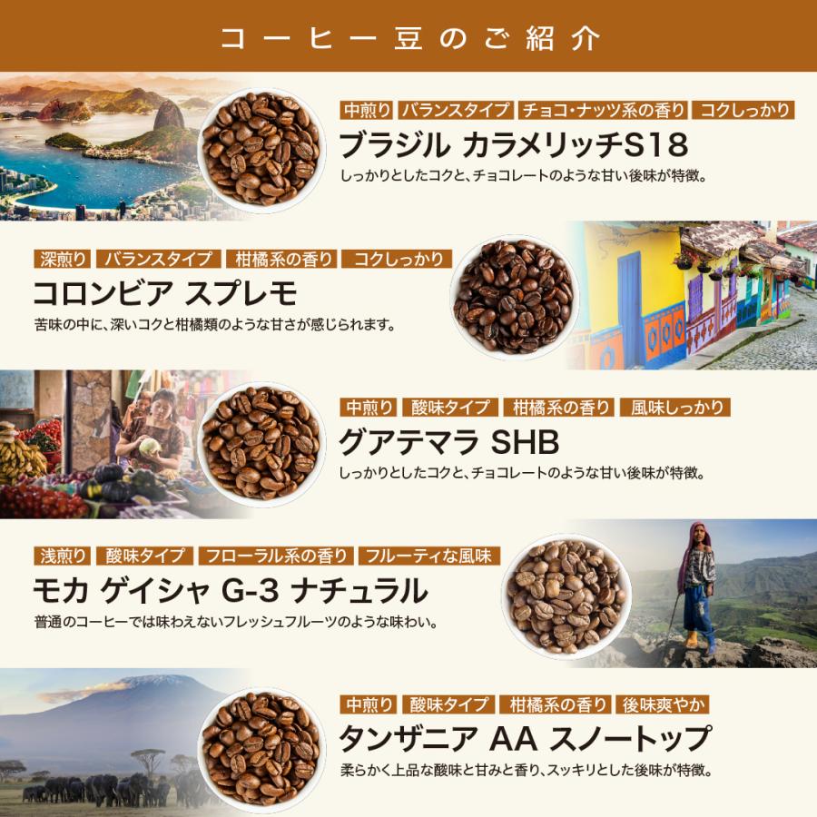 10種から選べる コーヒー 豆 300g 100g×3種 スペシャリティコーヒー