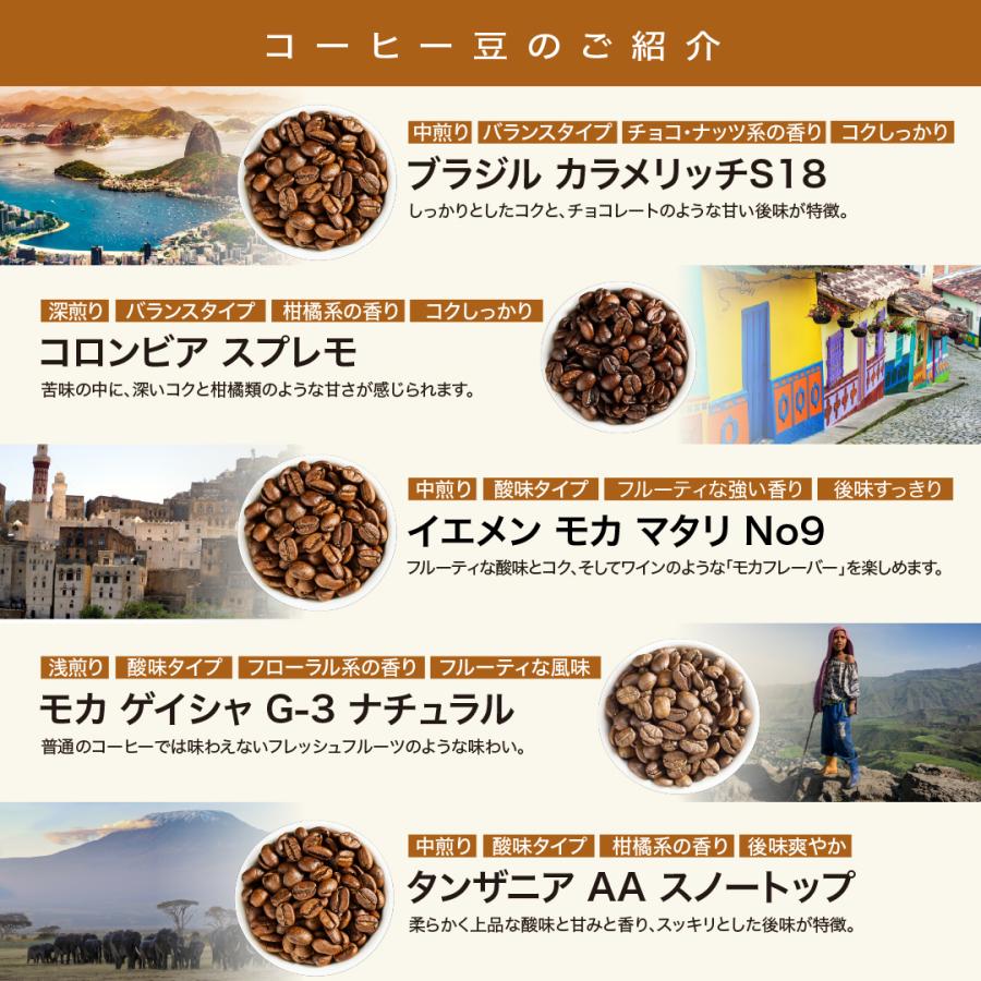 コーヒー 豆 お試し DRIP TRIP 10種から選べる スペシャリティコーヒー