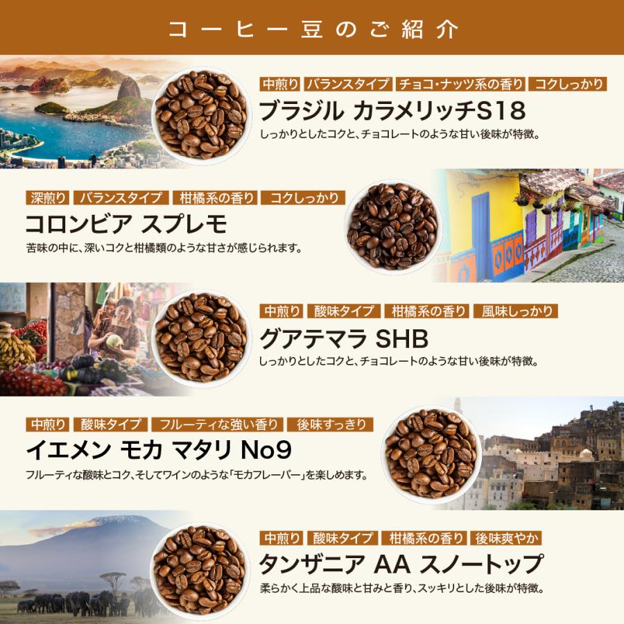 コーヒー 豆 お試し DRIP TRIP 15種から選べる スペシャリティコーヒー