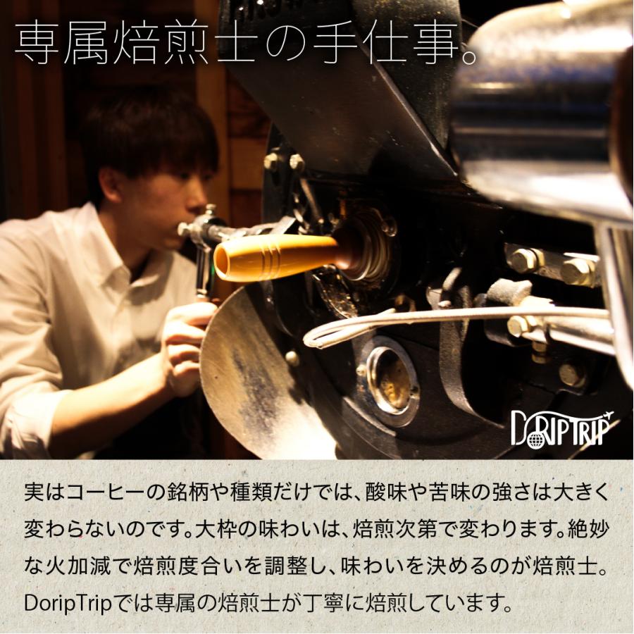 コーヒー 豆 粉 150g(50g×3種) 30種から3種選べる 珈琲豆 DripTrip