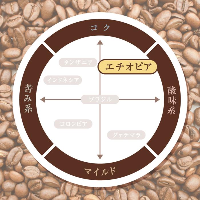 コーヒー豆 受注焙煎！エチオピア モカ シャキッソ ナチュラル G1 300g