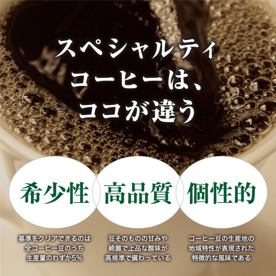 DRIP TRIP 生豆 コロンビア エキセルソ Qグレード コーヒー 珈琲 1kg