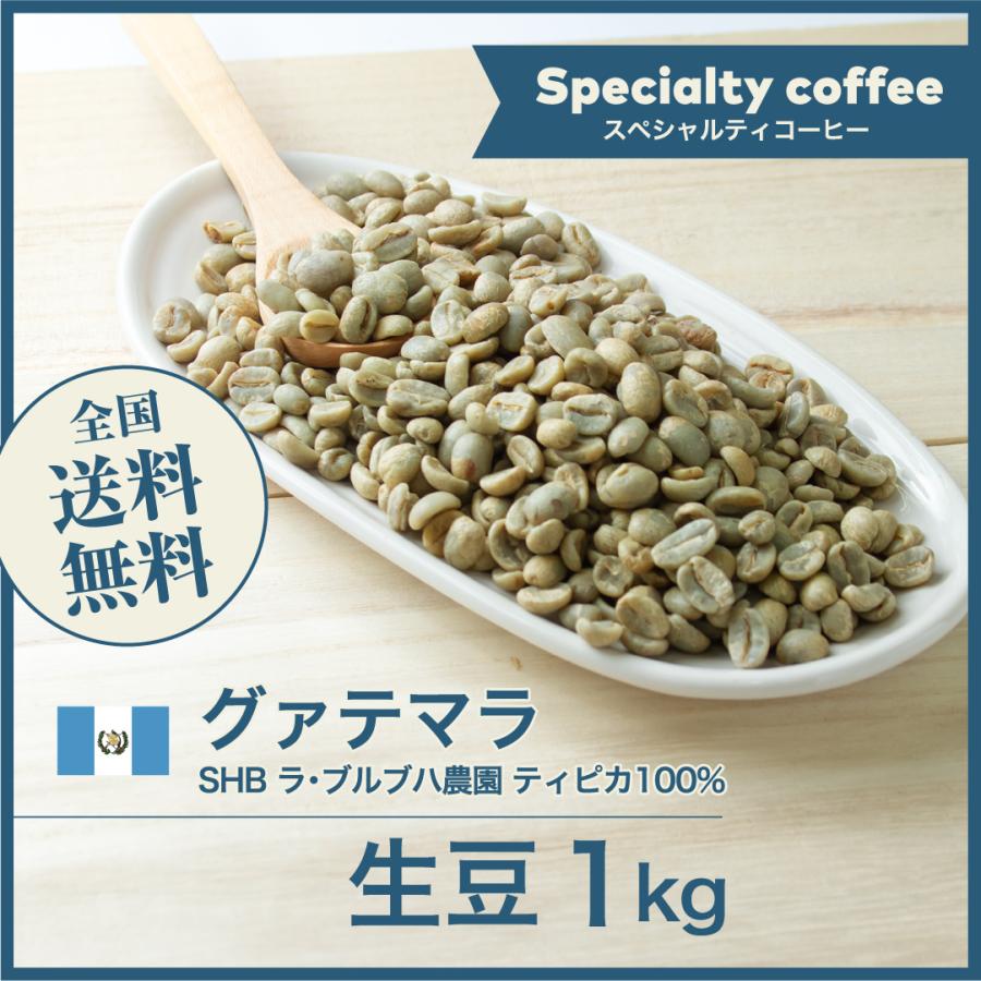 コーヒー 生豆 グァテマラSHB ラ・ブルブハ農園 ティピカ100% DripTrip