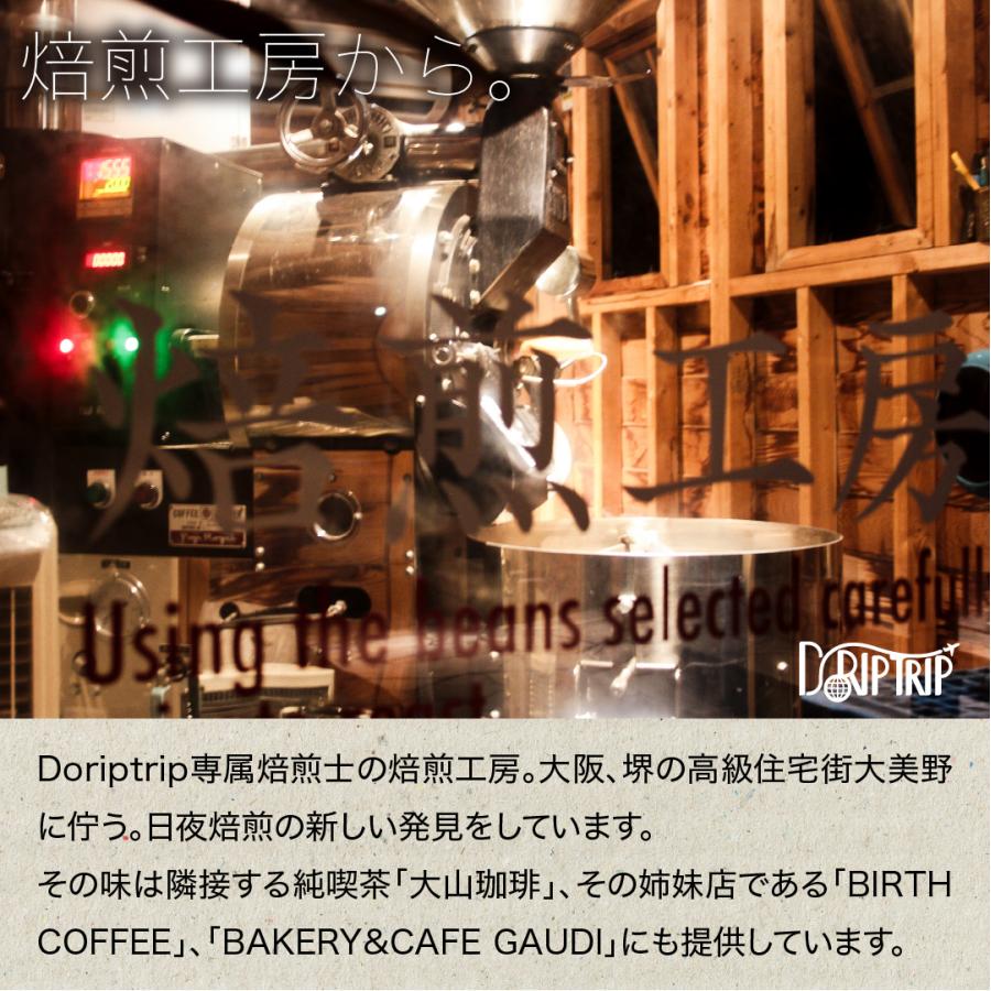 DRIP TRIP モカ ゲイシャ G-3 ナチュラル エチオピアドリップコーヒー