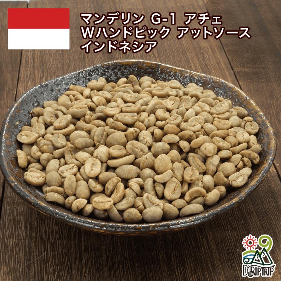 コーヒー 生豆 お試しセットVol.1 100g×6袋 DripTrip : 自家焙煎