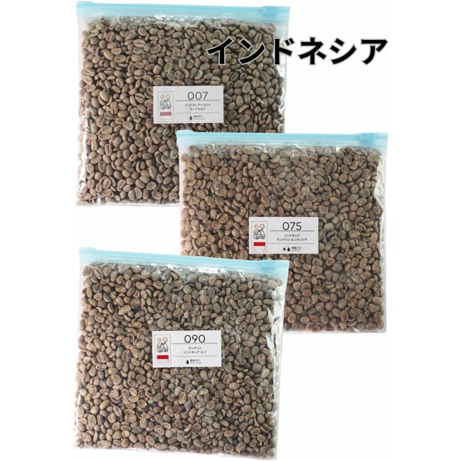 コーヒー 生豆 300g×3袋 全13パターン セット driptrip ポイント利用