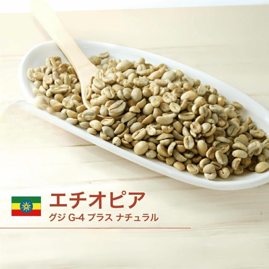 世界中のコーヒー生豆を楽しむ、焙煎体験セット 500g × 4種類（合計2kg