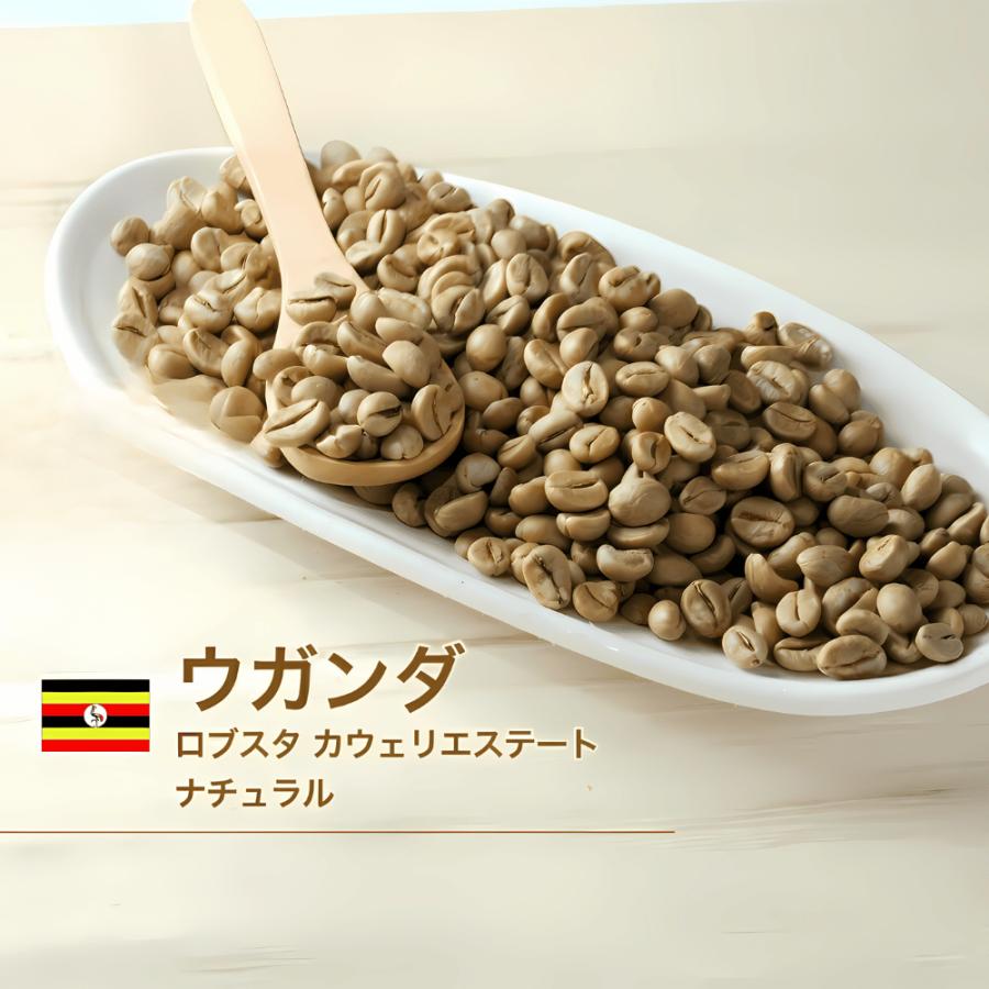 世界中のコーヒー生豆を楽しむ、焙煎体験セット 500g × 4種類（合計2kg