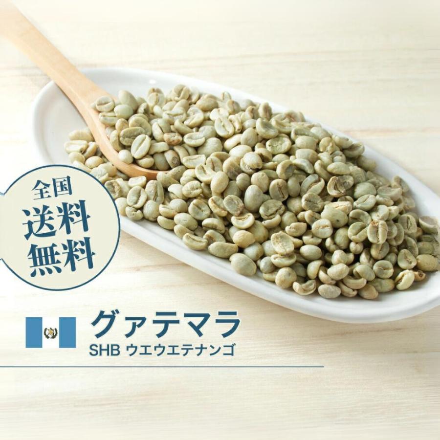 DRIP TRIP 生豆 世界中のコーヒー生豆を楽しむ、焙煎体験セット × 4