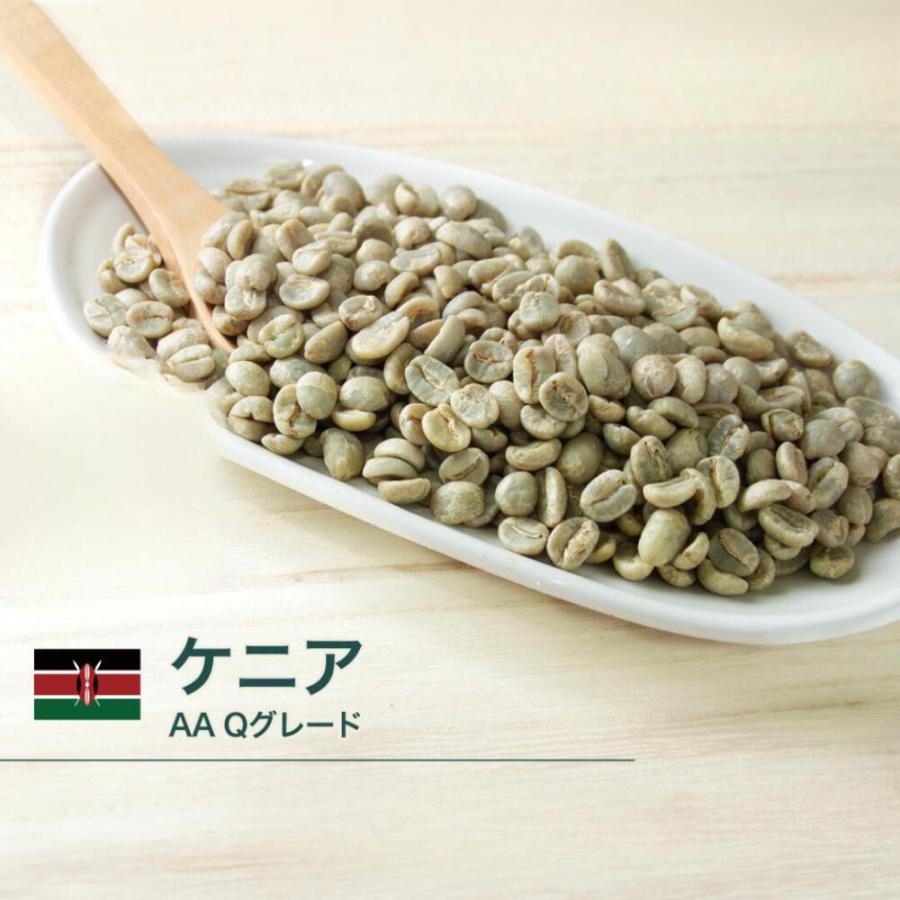 コーヒー 生豆 世界中のコーヒー生豆を楽しむ、焙煎体験セット