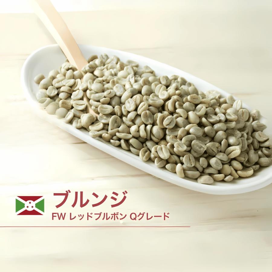 DRIP TRIP 生豆 世界中のコーヒー生豆を楽しむ、焙煎体験セット × 4