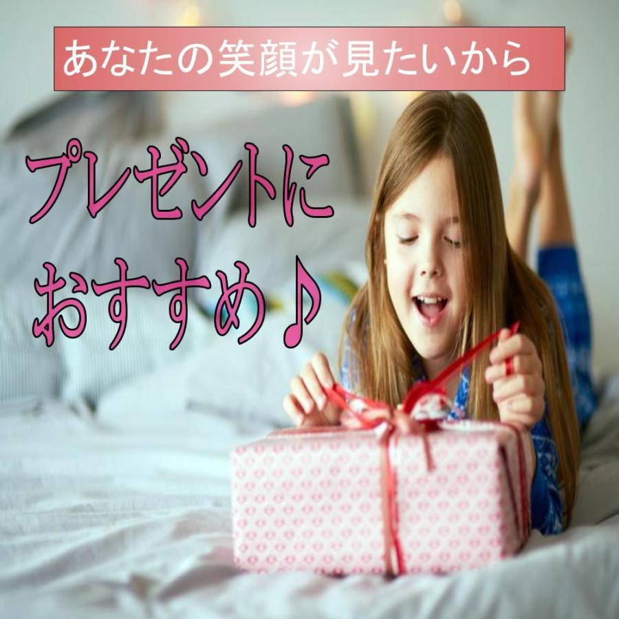 イヤリング キッズ イヤークリップ おもちゃ 女の子 かわいい 誕生日 パーティー プレゼント キッズアクセサリー 14組｜gavit｜05