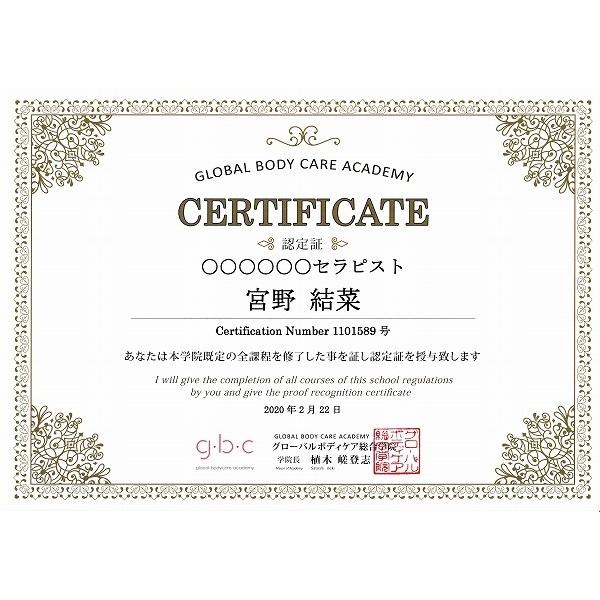 新品】リンパリファインセラピー講座 N°2 DVD リンパリファイン