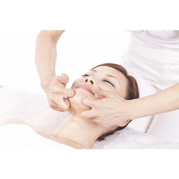 通信講座 メディカル小顔矯正セラピー 小顔 矯正 セラピスト セラピー 資格取得 通信教育 教材 セット 