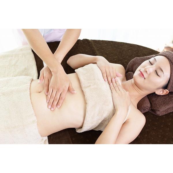 リンパ・腸もみデトックスセラピスト Ｗ通信講座 セラピスト セラピー 資格取得 通信教育 教材 セット