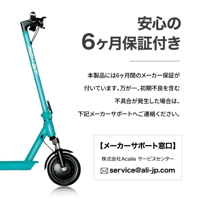 RICH BIT RICHBIT ES1 Pro 特例特定小型原動機付自転車 ブルー 