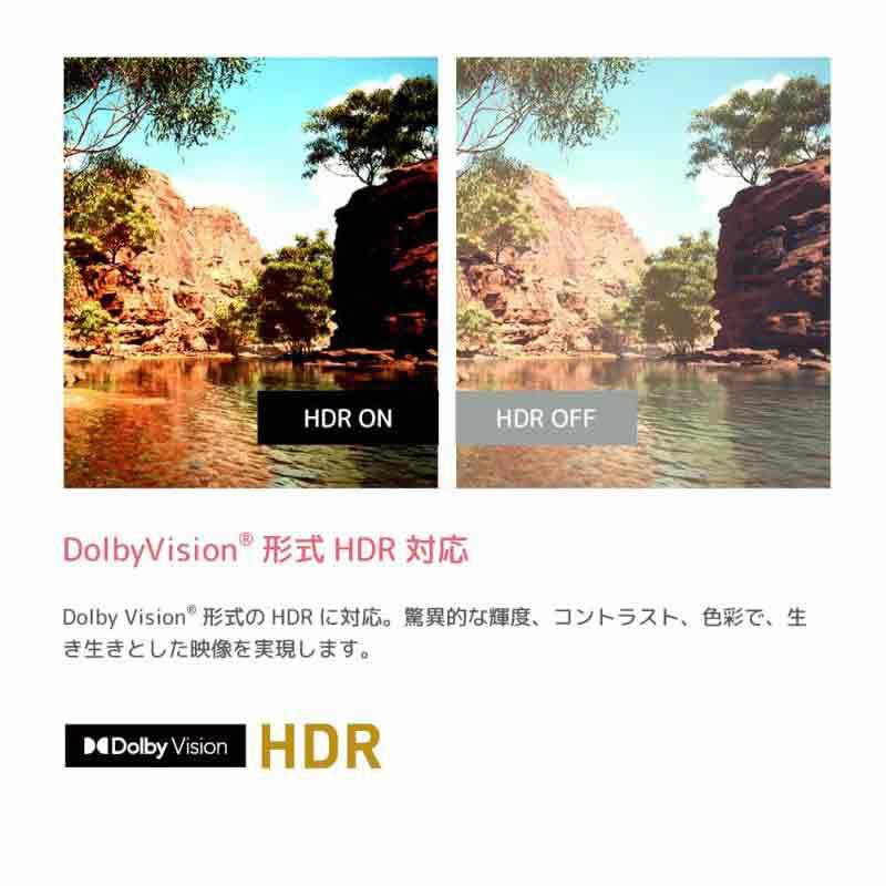 オリオン ORION スマートテレビ 65インチ 4K対応・HD・FHD OSR65G10｜gbft-online｜09