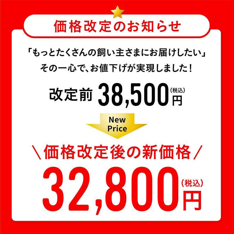 サンスター SUNSTAR 除菌脱臭機 04A1J-OW 約6〜30畳 オフホワイト QAIS-air-04A1J-Hの画像
