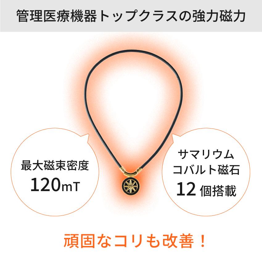 BANDEL（バンデル） 磁気 ネックレス アースミニ ヘルスケア 肩こり