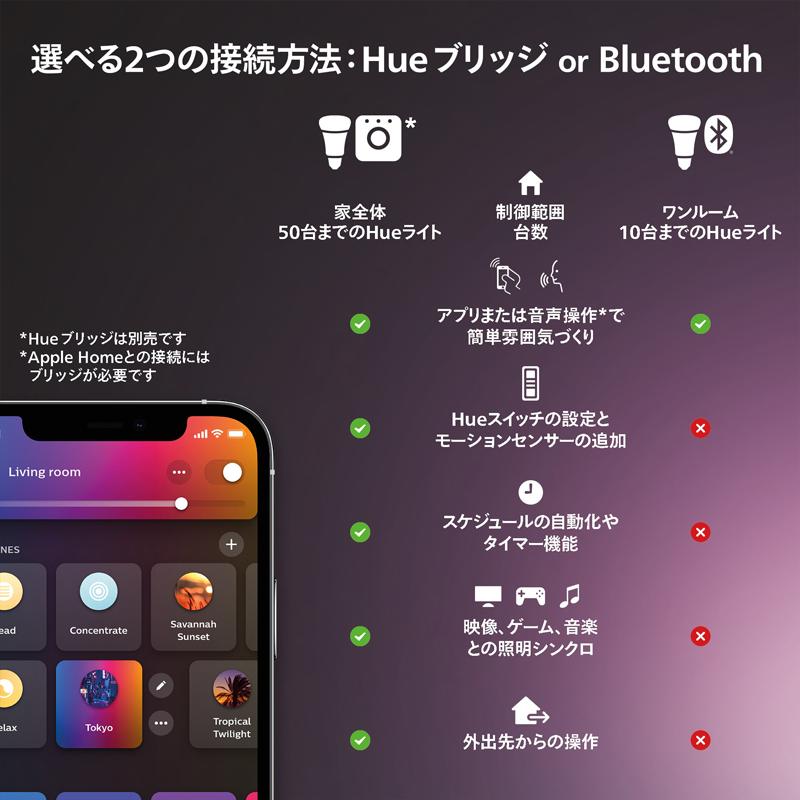 Philips（フィリップス） Philips Hue グラデーションライトリボン