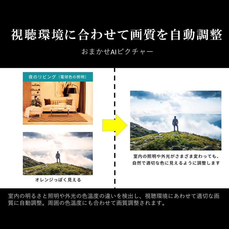 REGZA TVS 4K液晶 55インチ スマートテレビ Airplay対応 2023年モデル