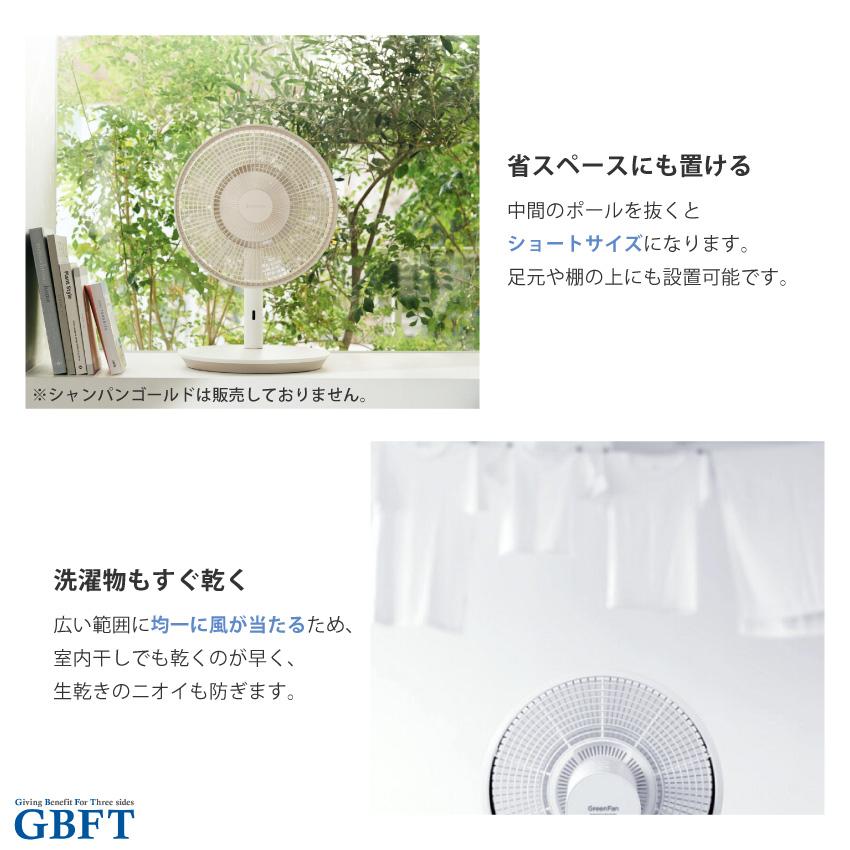 The GreenFan 扇風機 ブラック×ダークグレー EGF-1800-DK 正規品 日本