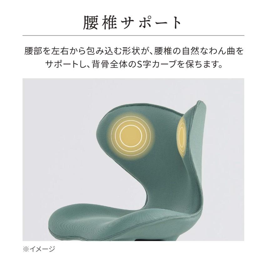 MTG正規販売店 MTG Style Chair SMC ベージュ フォレストグリーン