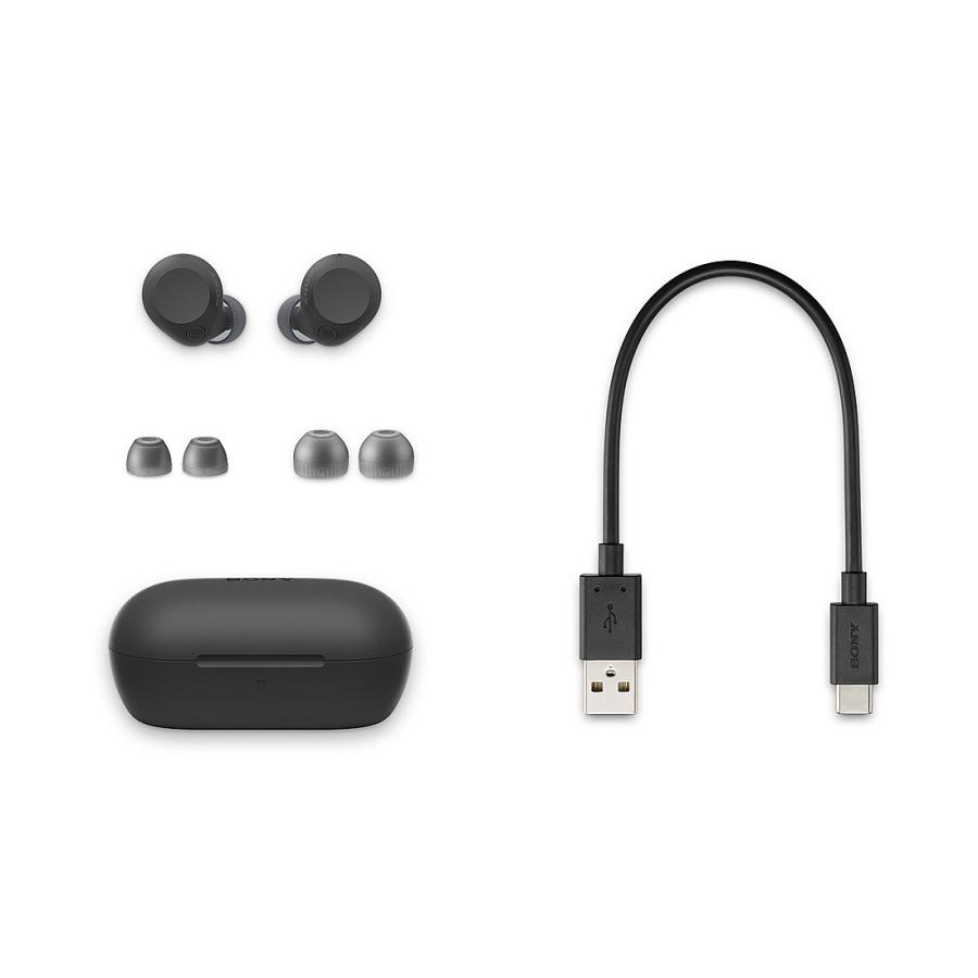ソニー ワイヤレス イヤホン 左右分離 ノイズキャンセリング IPX4 最大40時間 USB-C WF-C710 NB ブラック系_5