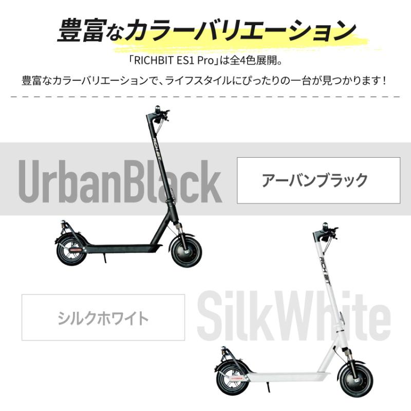 RICH BIT RICHBIT ES1 Pro 特例特定小型原動機付自転車 ブルー