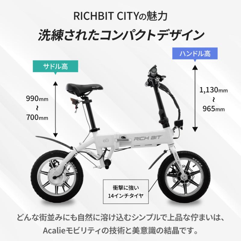 RICH BIT RICHBIT CITY RICH-C 特例特定小型原動機付自転車 シティ