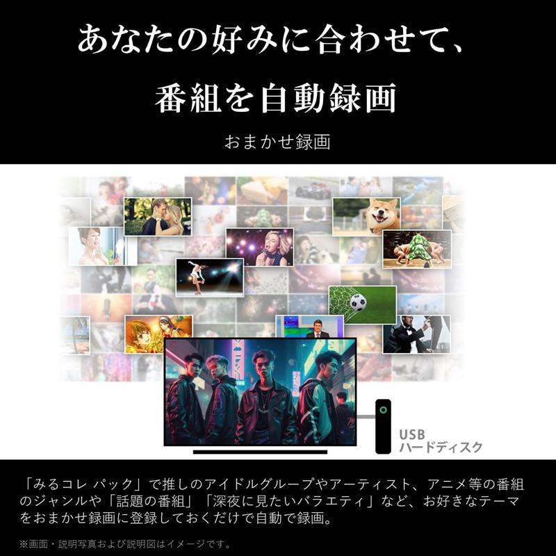 REGZA TVS 4K液晶 43インチ スマートテレビ Airplay対応 2023年 REGZA TVS 4K液晶 43インチ スマートテレビ Airplay対応 2023年