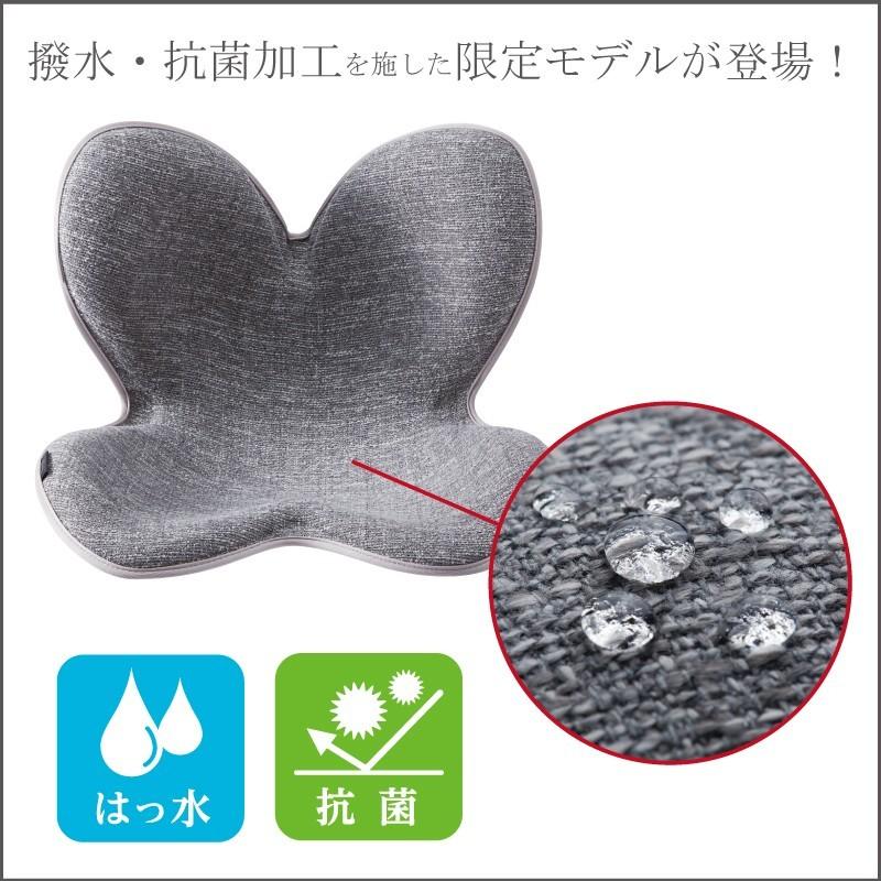 Mtg Body Make Seat Style ボディメイクシート スタイル ライトグレー 通販限定 撥水 抗菌仕様モデル Gbft Online Paypayモール店 通販 Paypayモール