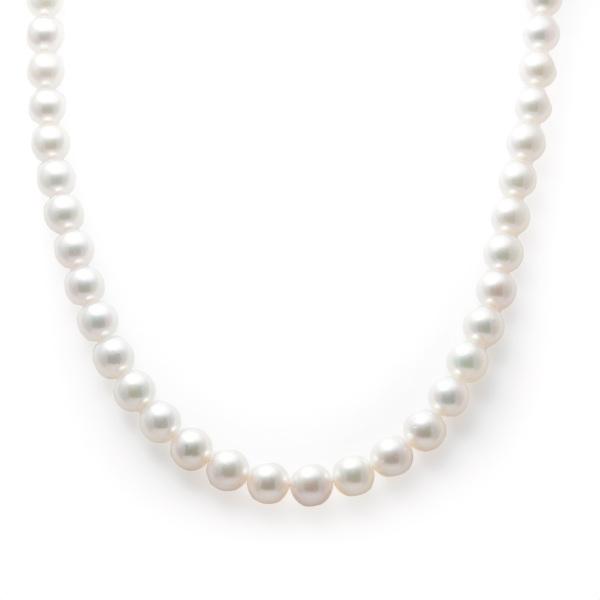 シルバー アコヤパール パール ネックレス : ジェムキャッスルゆきざき