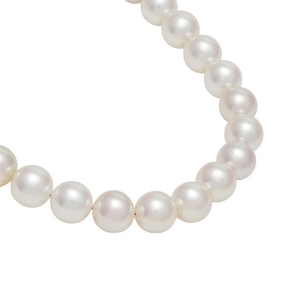シルバー アコヤパール パール ネックレス : ジェムキャッスル