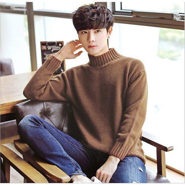 メンズファッション ダークブラウン 茶色 ニットセーター メンズ ニット 長袖セーター タートルネック メンズプルオーバー ゆったり 無地 リラックス カジュアル 6色 Fperhzheoo Tritop Com Br