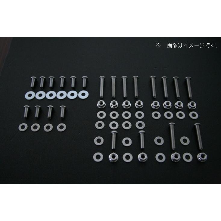 納期未定受注中止中【D-MAX】GTウィング C170 : GCJ-Shop - 通販