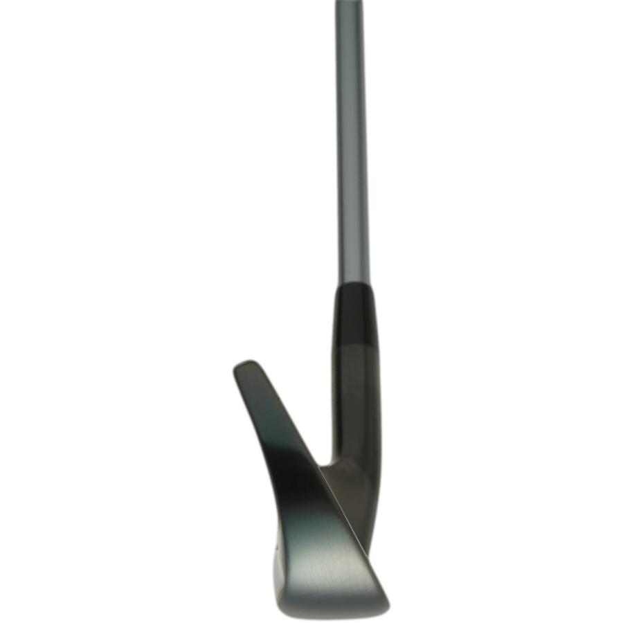 ロイヤルコレクション SFD SFD2013 アイアン(5本セット) ブラック仕上げ ランバックス6E08 ロイヤルコレクション ランバックス6E08 O1282795537(12792円)