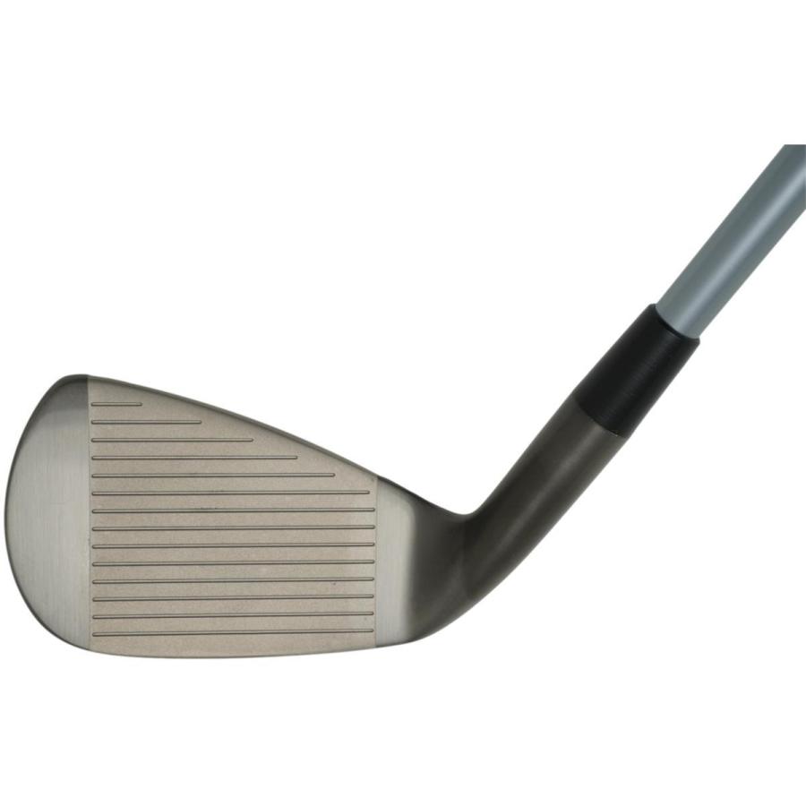 ロイヤルコレクション SFD SFD2013 アイアン(5本セット) ブラック仕上げ ランバックス6E08 ロイヤルコレクション ランバックス6E08 O1282795537(12792円)