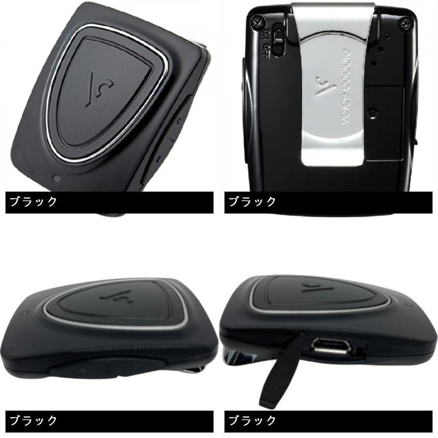 VOICE CADDIE ボイスキャディ Voice Caddie VC200SE 音声タイプ