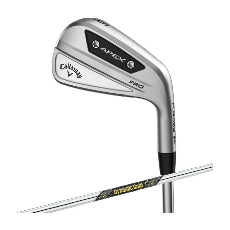 キャロウェイApex Pro2019アイアンセット Dynamic Gold Callaway（キャロウェイ） キャロウェイゴルフ APEX APEX PRO 24