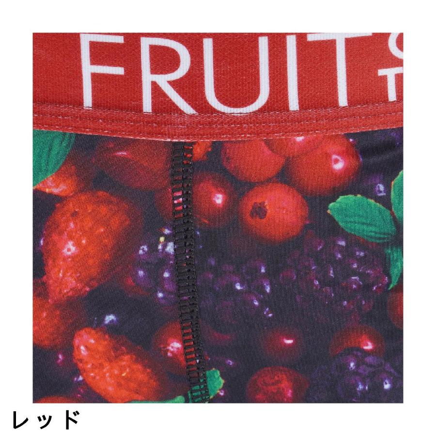 フルーツオブザルーム FRUIT OF THE LOOM エステルベア天竺 前閉じボクサーパンツ｜gdoshop｜05