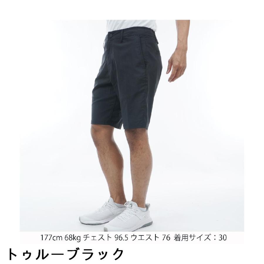 リンクソウル LINKSOUL 股下10インチ ICON ストレッチ ショートパンツ 