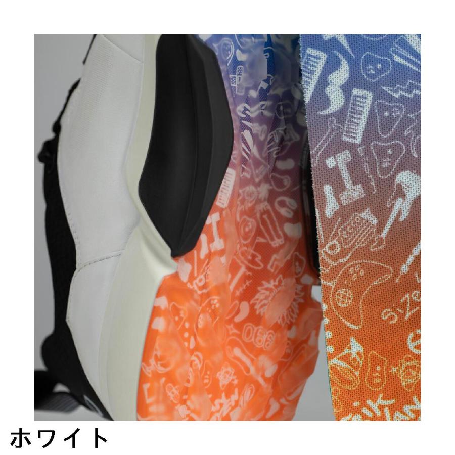 ecco エコー BIOM H4 Erik Van Rooyen Edition シューズ : GDO