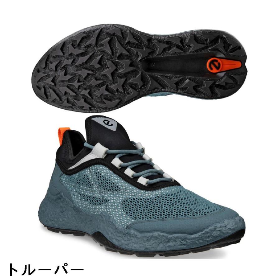 ecco（エコー） 限定モデル BIOM H5 TEXT シューズ : GDOゴルフ