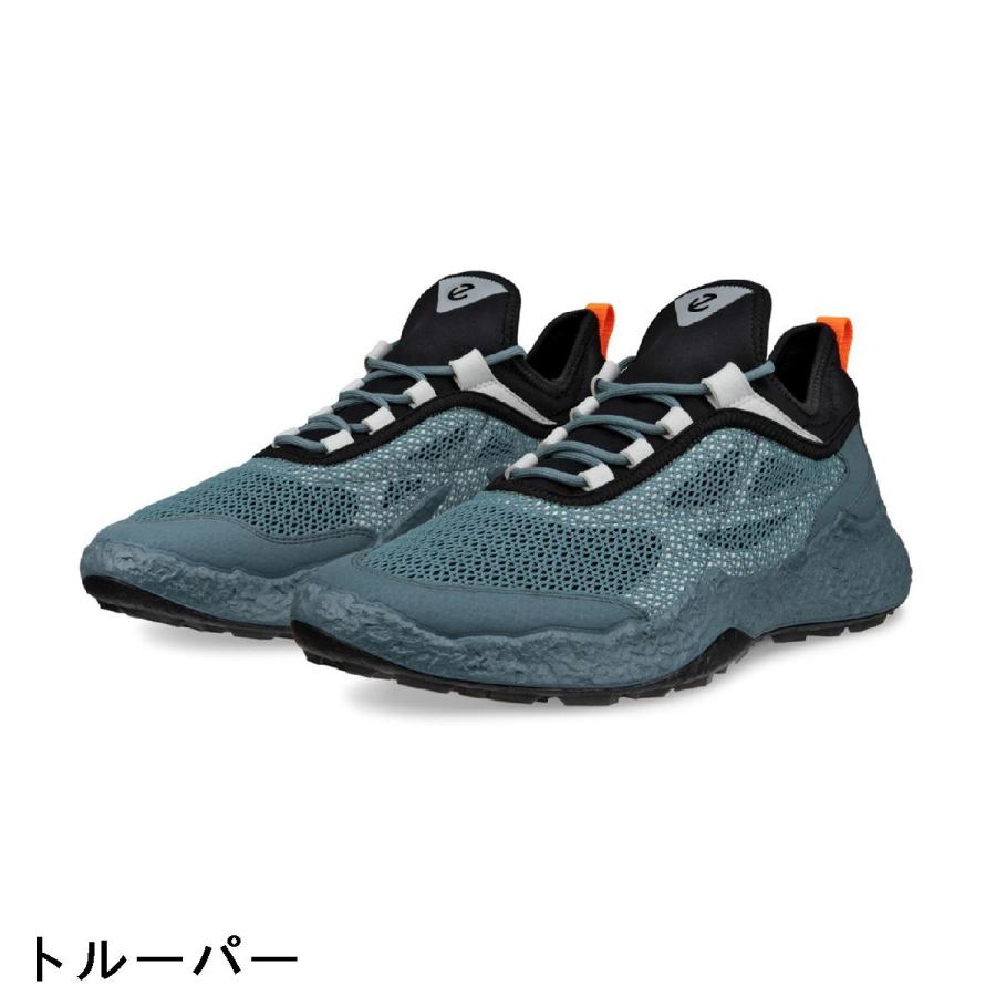 ecco（エコー） 限定モデル BIOM H5 TEXT シューズ : GDOゴルフ