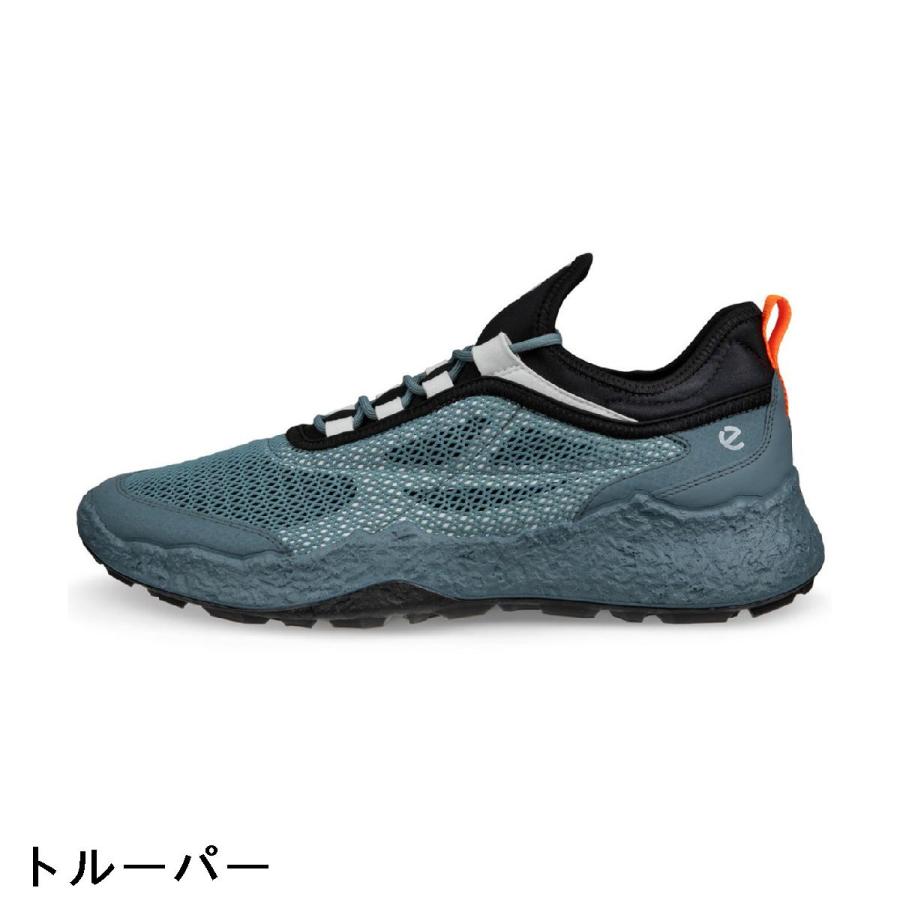 ecco（エコー） 限定モデル BIOM H5 TEXT シューズ : GDOゴルフ